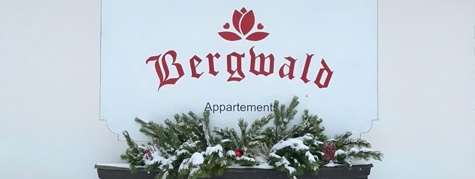 Bergwald Apartment อัลพ์บาค ภายนอก รูปภาพ